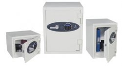 1250 Series Titan Security and Fire Safes