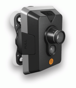 Motion Detection Cameras