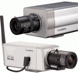 IP Cameras