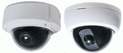 Vandal Domes