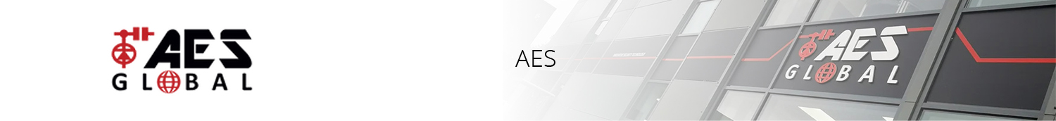 AES Wired Audio Door Entry SLIM