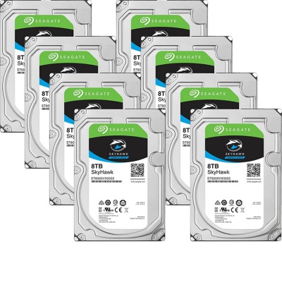 64TB (8X8Tb) Seagate Skyhawk Surveillance drive installed and configured