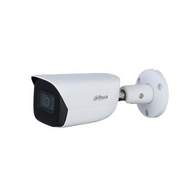 Dahua IPC-HFW3241EP-AS-0360B 2MP IP 12VDC-PoE IP67 IK10 Camera