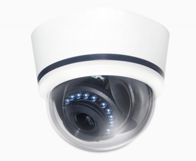 GANZ ZN-DNT352XE-M 1080p Outdoor Vandal-Resistant IP Dome 3-9mm Lens