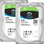 12Tb (2X6TB) Seagate Skyhawk Surveillance drive installed and configured