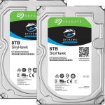 16TB (2X8Tb) Seagate Skyhawk Surveillance drive installed and configured
